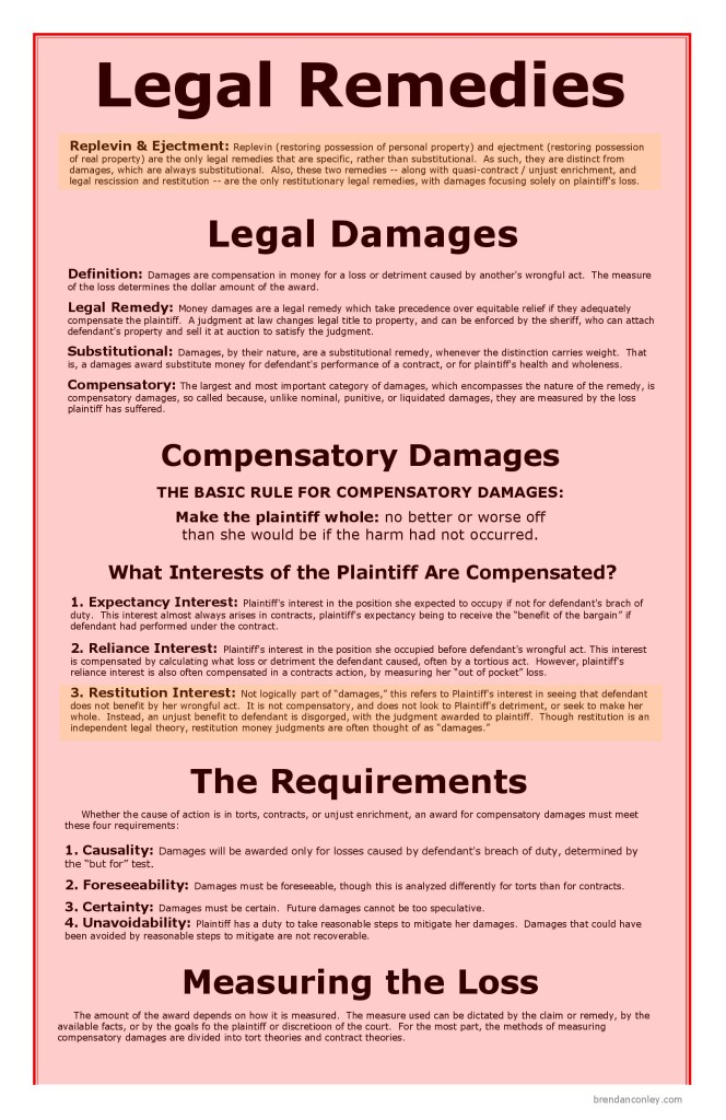 Remedies Big Picture | Bar Exam Study Materials